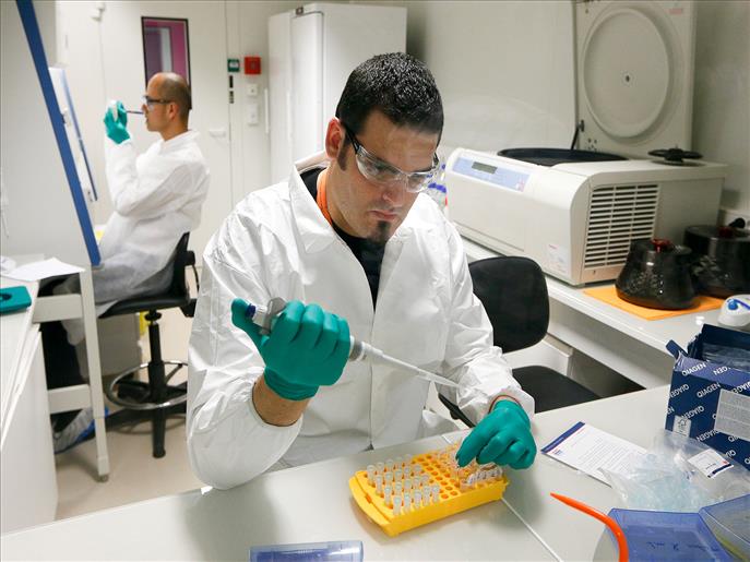 Scientists pinpoint tissue-regenerating cells, offering hope for Cancer and burn victims